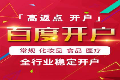 竞价广告赚钱秘籍：百度实战案例